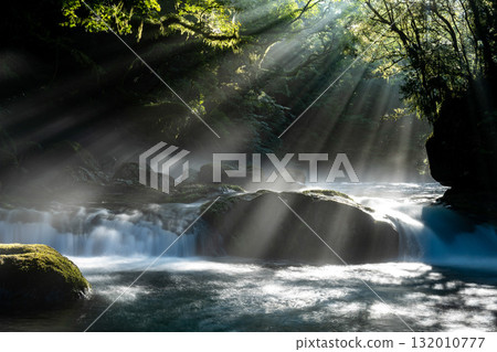 熊本縣菊池溪谷的光芒 132010777