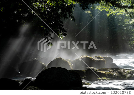 熊本縣菊池溪谷的光芒 132010788