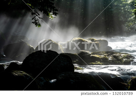 熊本縣菊池溪谷的光芒 132010789