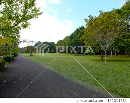 秋天的秩父繆斯公園 秋天的秩父繆斯公園 132011381