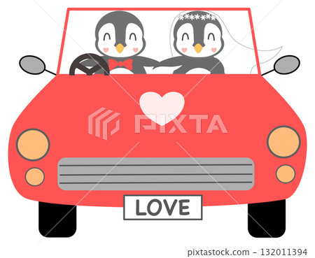 Penguin bride and groom in a red car 132011394