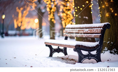 Snowy Park Bench 132011563