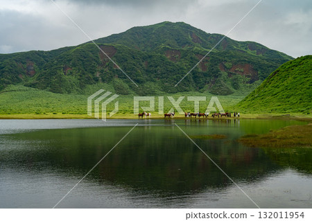 熊本縣阿甦的田園風光 132011954