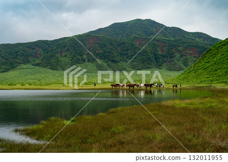 熊本縣阿甦的田園風光 132011955