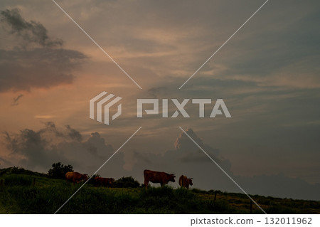 熊本縣阿甦的田園風光 132011962