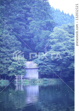 晨霧中的金鱗湖和鳥居 晨霧中的金鱗湖和鳥居 132012121