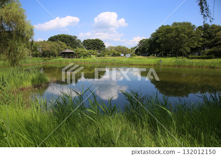 咲玉古墳公園 132012150