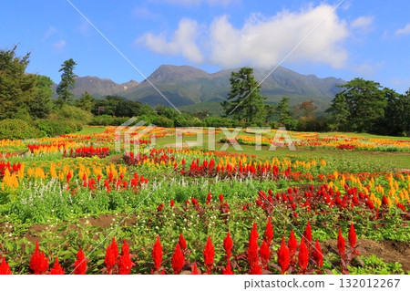 Kuju Mountains and autumn-colored fields (Kuju Town, Taketa City) Kuju Mountains and autumn-colored fields (Kuju Town, Taketa City) 132012267