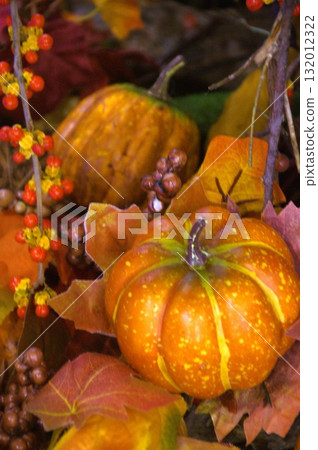 pumpkin 132012322