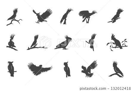 Cockatoo svg, Cockatoo silhouette, Cockatoo birds drawing, Cockatoo parrot svg, Cockatoo vector, Cockatoo drawing. 132012418