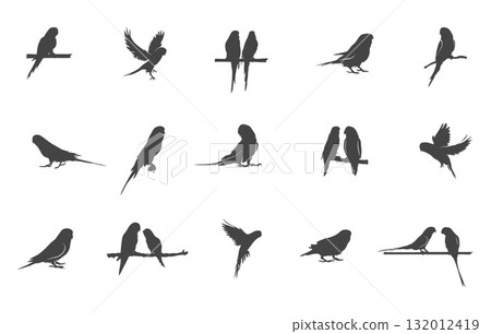 Budgerigar birds silhouette, Budgerigar birds svg, Budgie svg, Parakeet silhouette, Budgerigar vectors, Budgerigar birds clipart. 132012419