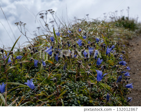 Climbing one of Japan's 100 famous mountains: Yamagata, Mount Chokai, Mount Shinzan 132012867