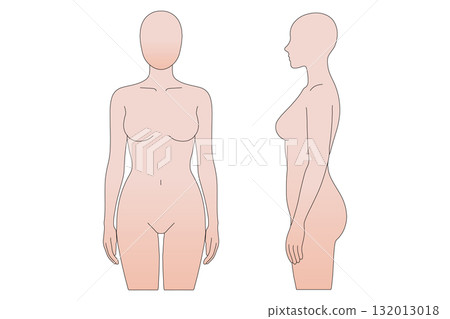 Female mannequin body line illustration Female mannequin body line illustration 132013018