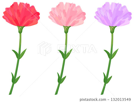 康乃馨插畫集紅色、粉紅色、紫色向量素材 132013549