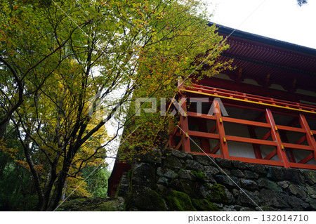 The vermilion-lacquered hall of Yokokawa, Enryaku-ji Temple, Mount Hiei, and the trees beginning to change color The vermilion-lacquered hall of Yokokawa, Enryaku-ji Temple, Mount Hiei, and the trees beginning to change color 132014710