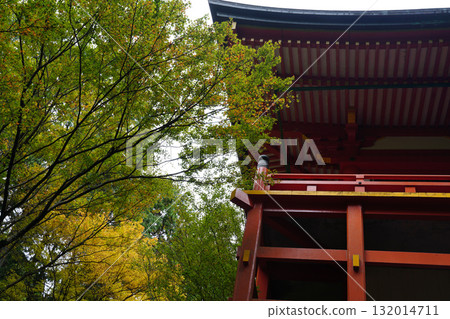 The vermilion-lacquered hall of Yokokawa, Enryaku-ji Temple, Mount Hiei, and the trees beginning to change color The vermilion-lacquered hall of Yokokawa, Enryaku-ji Temple, Mount Hiei, and the trees beginning to change color 132014711