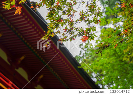 The vermilion-lacquered hall of Yokokawa, Enryaku-ji Temple, Mount Hiei, and the trees beginning to change color The vermilion-lacquered hall of Yokokawa, Enryaku-ji Temple, Mount Hiei, and the trees beginning to change color 132014712