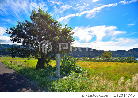 滋賀縣與戈湖:天女之笠柳 滋賀縣與戈湖:天女之笠柳 132014749