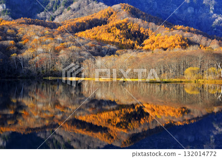 Mirror pond Mirror pond 132014772