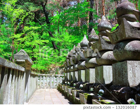 松本源光寺 信州的神社與寺廟 132016087