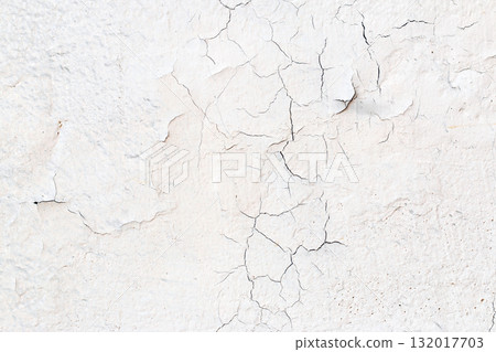 Light Gray Stucco Wall Texture. Abstract Background 132017703