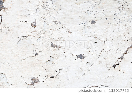 Light Gray Stucco Wall Texture. Abstract Background 132017723