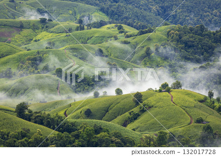 Landscape of Morning Mist with Mountain Layer. mountain ridge and clouds in rural jungle bush forest Landscape of Morning Mist with Mountain Layer. mountain ridge and clouds in rural jungle bush forest 132017728