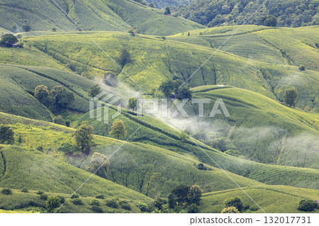 Landscape of Morning Mist with Mountain Layer. mountain ridge and clouds in rural jungle bush forest 132017731