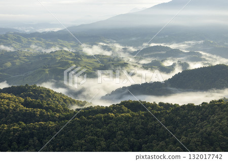 Landscape of Morning Mist with Mountain Layer. mountain ridge and clouds in rural jungle bush forest 132017742
