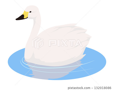 Illustration of a swan floating on water Illustration of a swan floating on water 132018086