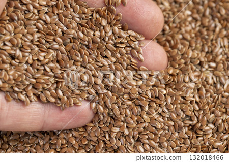 flax seeds for sowing, a large number of light flax seeds for a new crop or germination for nutrition 132018466