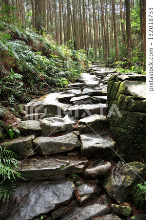 Road over Magose Pass (Kihoku Town side) [Kihoku Town, Mie Prefecture] 132018733