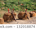 Crossbows, bow and arrows on the straw blocks 132018874