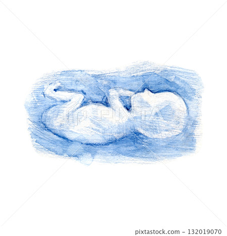 Pregnant Ultrasound, Embryo in stomach in pencil monochrome style isolated on white background. Pregnancy symbol hand draw illustration Pregnant Ultrasound, Embryo in stomach in pencil monochrome style isolated on white background. Pregnancy symbol hand draw illustration 132019070