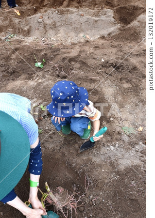 我第一次挖土豆 132019172