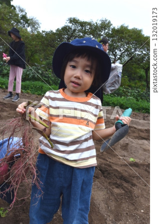 My first time digging potatoes My first time digging potatoes 132019173