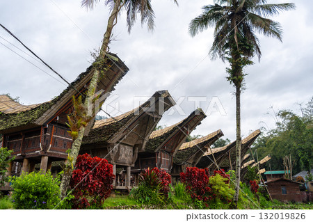 Traditional Toraja houses with buffalo horns, Sulawesi, Indonesia 132019826