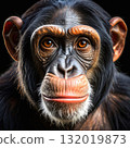 Close-up portrait of a chimpanzee with intense amber eyes 132019873