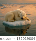 Polar bear sleeping on small floating ice block 132019884