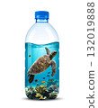 Turtle swimming inside plastic water bottle in ocean 132019888