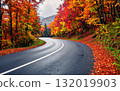 Autumn leaves on a mountain road 132019903
