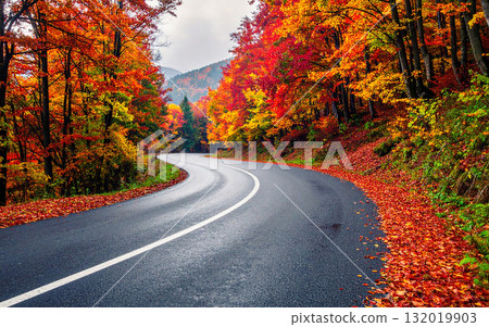 山路上的秋葉 132019903