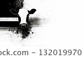Artistic black and white cow illustration on textured background 132019970
