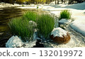 Melting snow revealing fresh spring growth 132019972