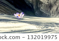 Delicate crocus blooming amidst rocky terrain 132019975