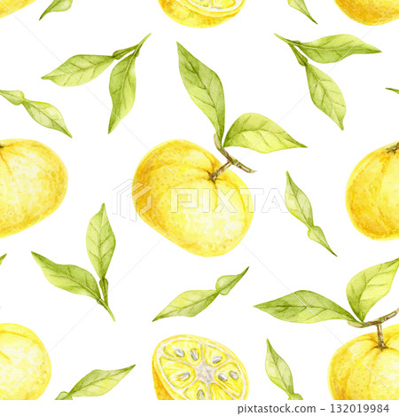 Large yellow yuzu fruits with green leaves painted as watercolor illustration, hand drawn seamless pattern. Perfect for fabric design, kitchen wallpapers, wrapping paper and culinary packaging. Large yellow yuzu fruits with green leaves painted as watercolor illustration, hand drawn seamless pattern. Perfect for fabric design, kitchen wallpapers, wrapping paper and culinary packaging. 132019984