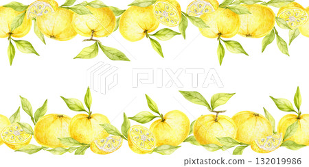 Yellow yuzu fruits with bright green leaves arranged in a decorative border painted as watercolor clipart, hand drawn design. Works well for packaging, textiles, kitchen stationery and wrapping. 132019986