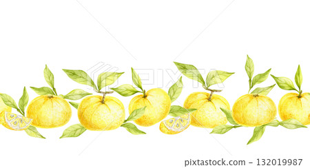 Botanical row of yellow yuzu fruits with green leaves painted as watercolor clipart, hand drawn border design. Can be used for kitchen labels, recipe cards, wrapping paper and cosmetic packaging. 132019987