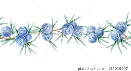 Horizontal seamless border of blue juniper berries and green foliage created as hand drawn watercolor clipart. Perfect for card frames, stationery design, fabric trims and wrapping decoration. Horizontal seamless border of blue juniper berries and green foliage created as hand drawn watercolor clipart. Perfect for card frames, stationery design, fabric trims and wrapping decoration. 132019997