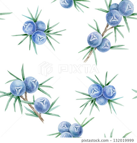 Blue juniper berry sprigs with needle leaves repeated in scattered seamless layout painted as hand drawn watercolor clipart. Ideal for wrapping paper, packaging, stationery and fabric printing. Blue juniper berry sprigs with needle leaves repeated in scattered seamless layout painted as hand drawn watercolor clipart. Ideal for wrapping paper, packaging, stationery and fabric printing. 132019999